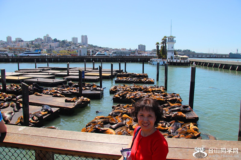 ���� 029_����.jpg