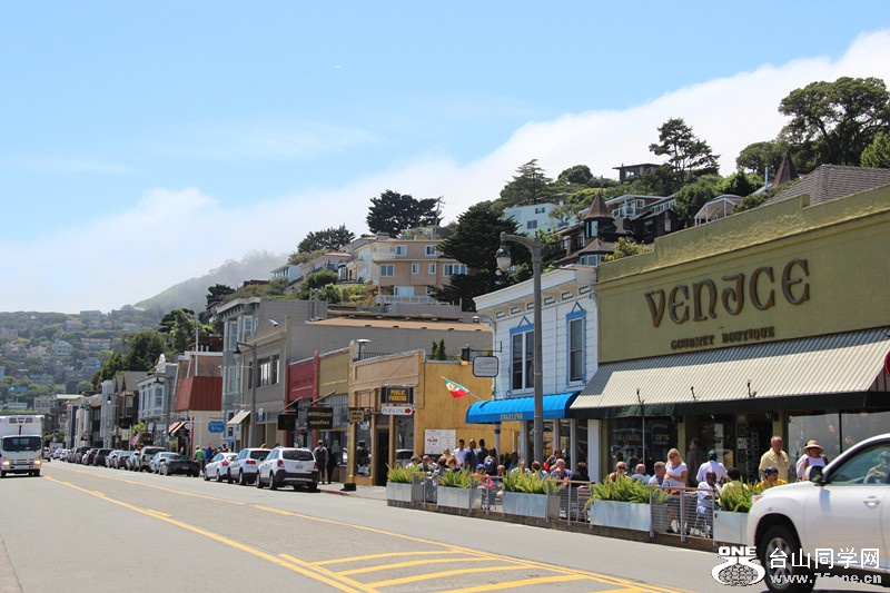 ���� 117_����.jpg