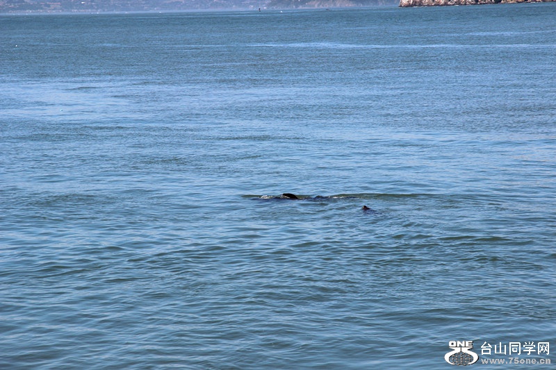 ���� 004_����.jpg