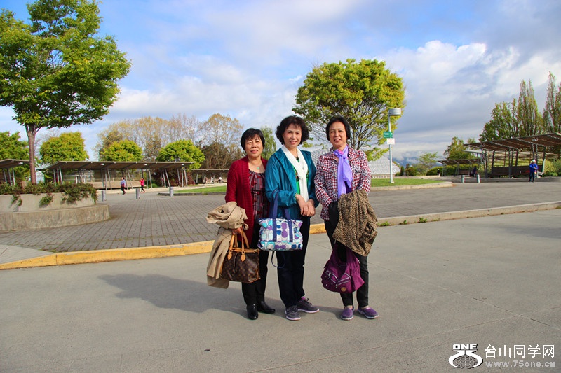 ���� 483_����.jpg