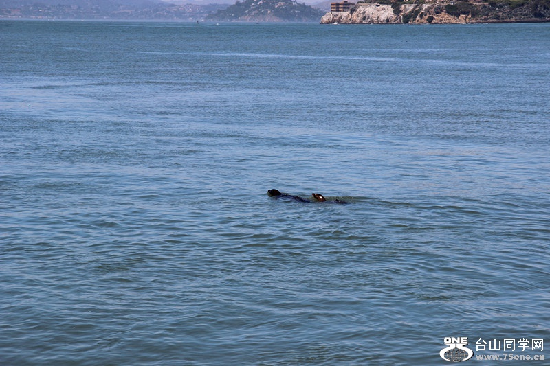 ���� 003_����.jpg