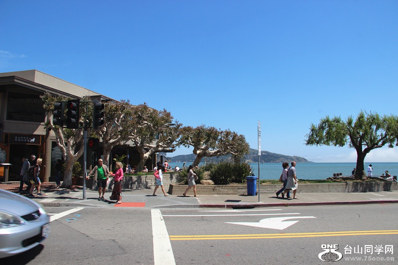 ���� 115_����.jpg