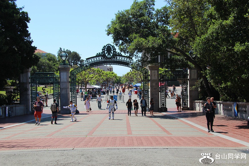 ���� 101_����.jpg