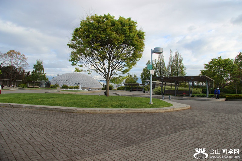 ���� 451_����.jpg