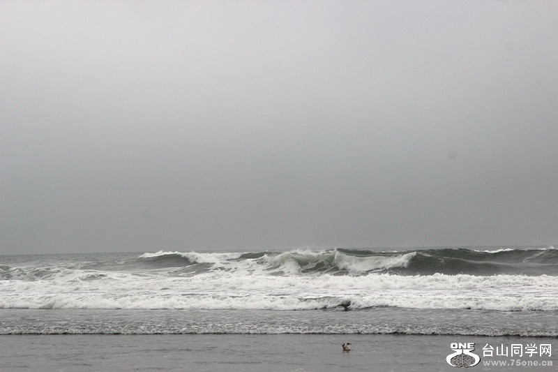 ����2 095_����.jpg