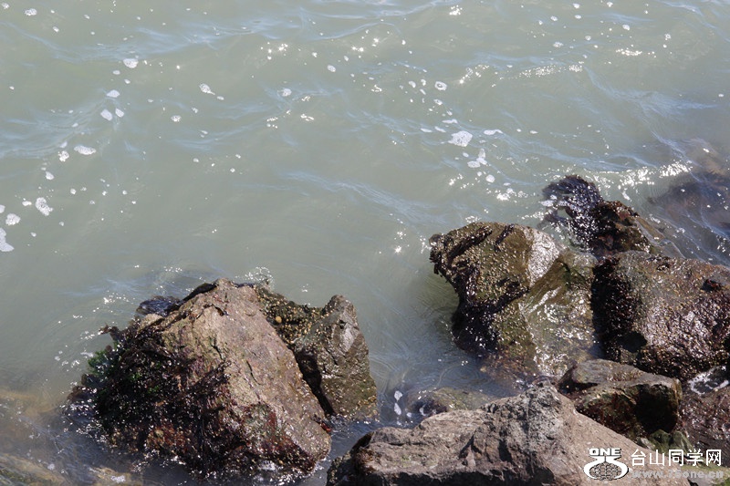 ���� 129_����.jpg