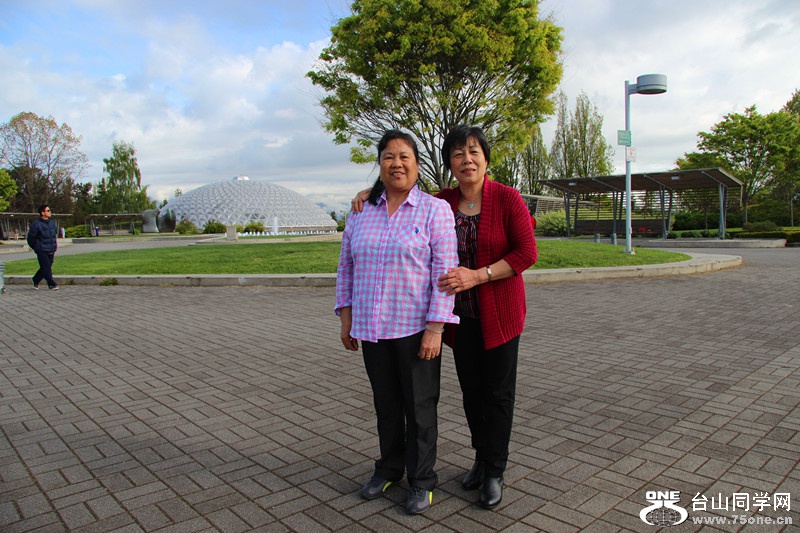 ���� 477_����.jpg