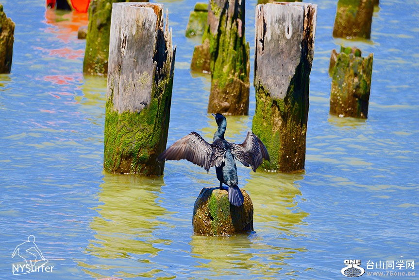 DSC_01237.jpg