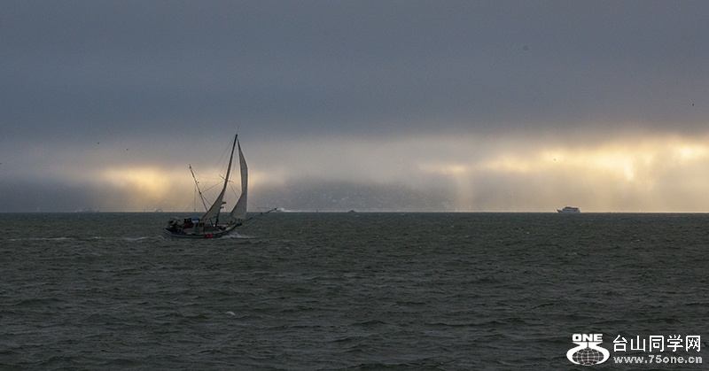 DSC_7126aa.jpg