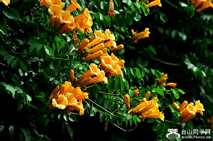 DSC_0477_.jpg