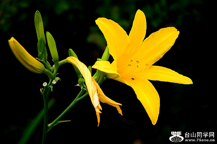 DSC_3652_.jpg