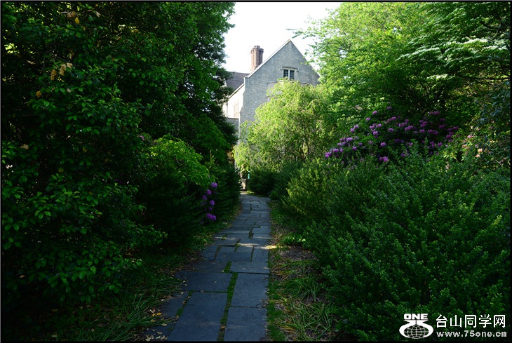 DSC_2416.jpg
