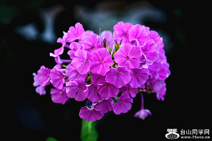 DSC_3906_.jpg