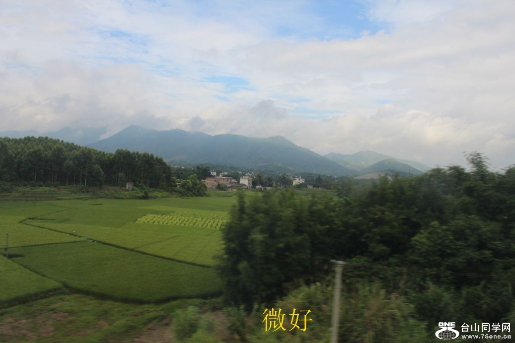 IMG_4449_.jpg
