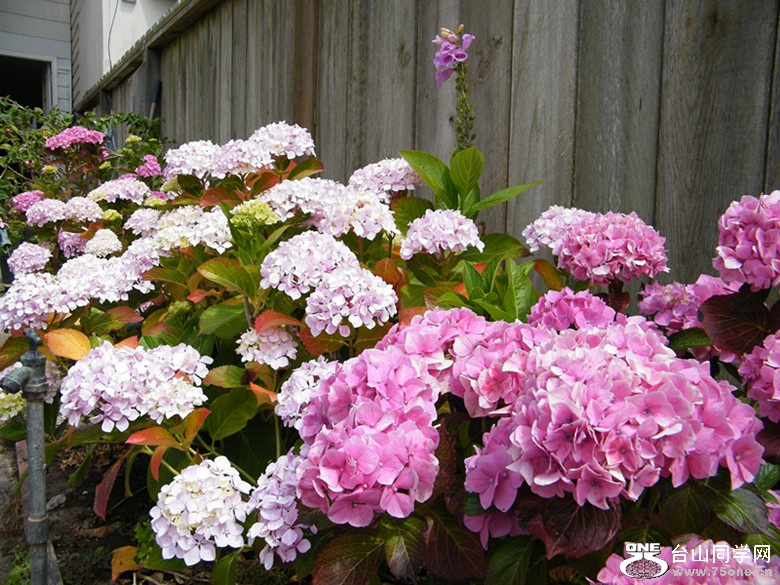 DSCF5576_.jpg