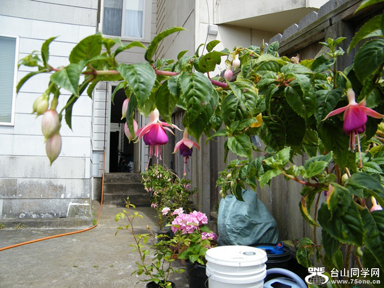 DSCF5570_.jpg