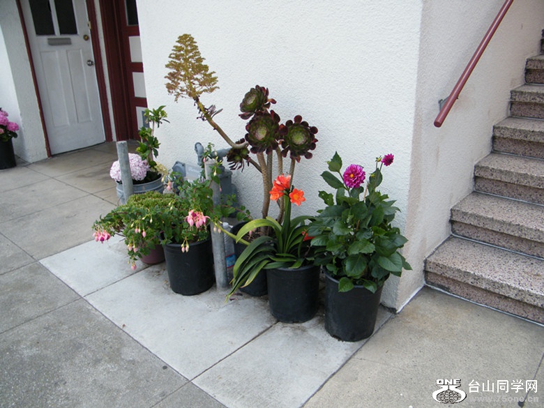 DSCF5560_.jpg