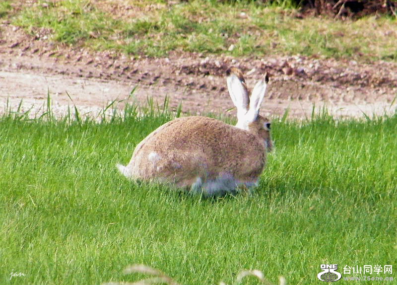 DSCF4110.JPG