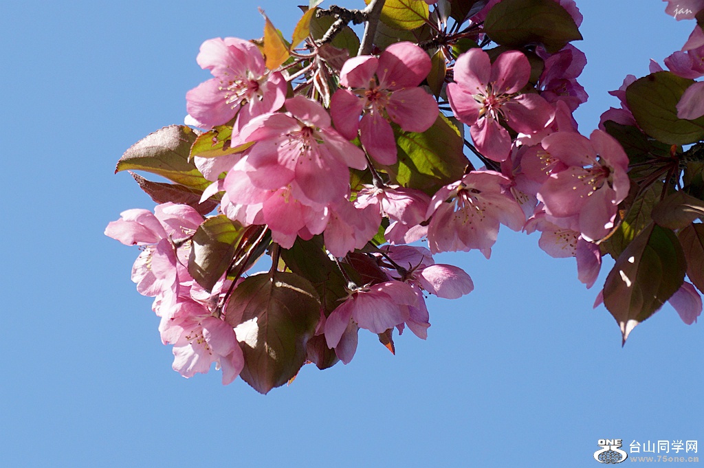 DSC05800.JPG