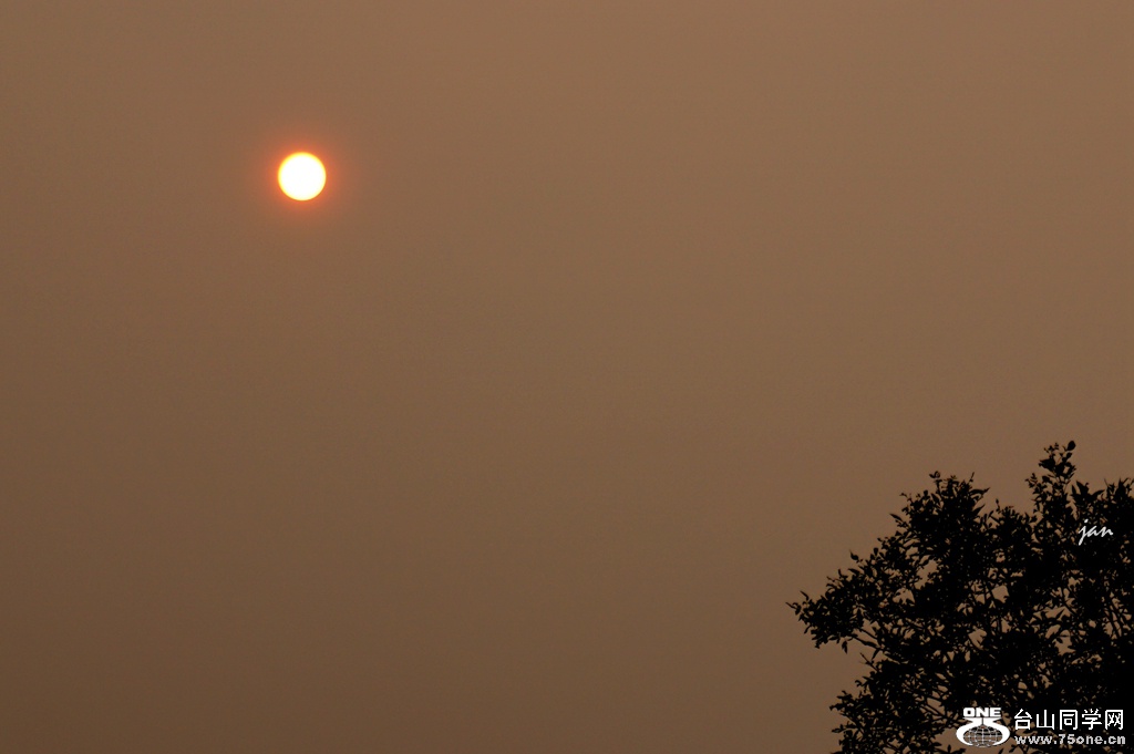 DSC06775.JPG