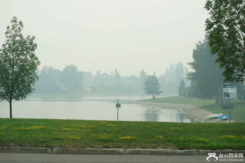 DSC06962.JPG
