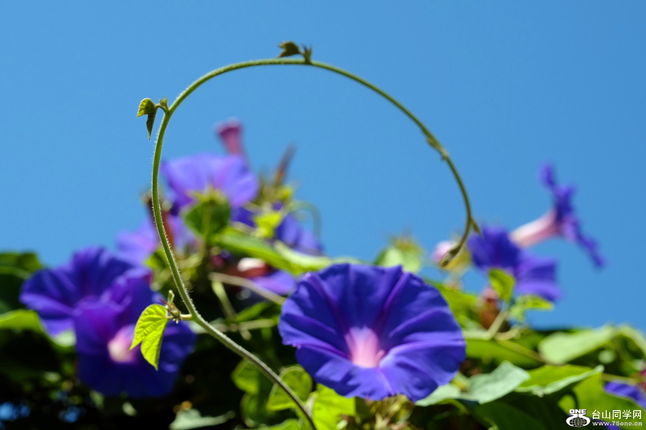 DSCF9966_114.jpg