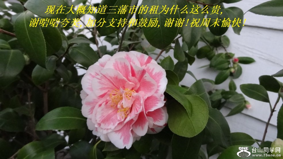 ڴ֪еΪʲôô,л佱,ӷֺ֧͹,лл!ףĩ!.jpg