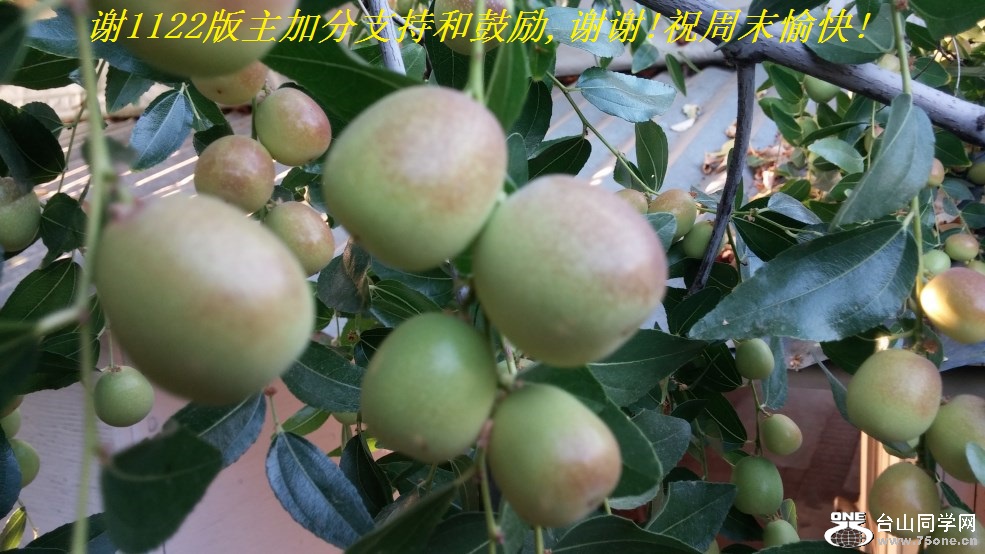 л1122ӷֺ֧͹,лл!ףĩ!.jpg