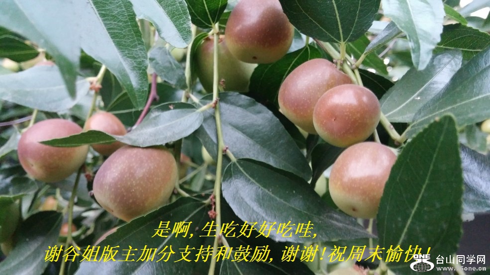 ǰ,Ժúó,лȽӷֺ֧͹,лл!ףĩ!.jpg
