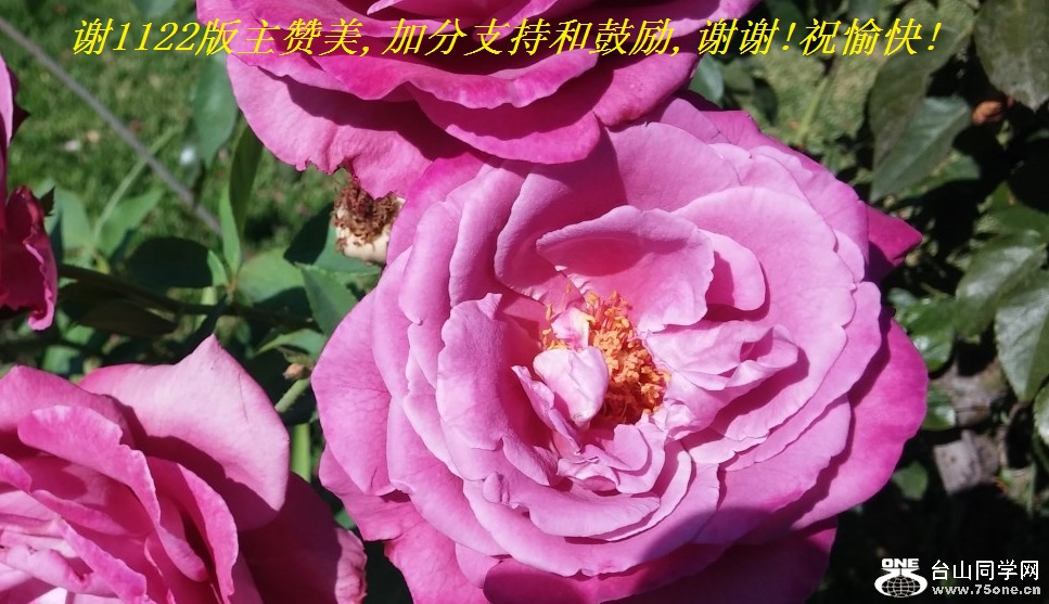 л1122,ӷֺ֧͹,лл!ף!.jpg