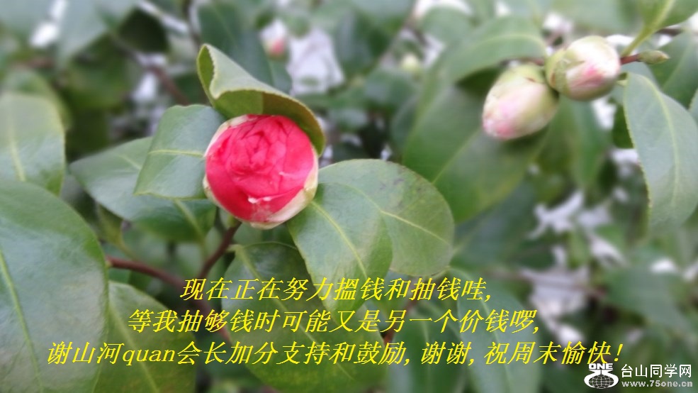 ŬǮͳǮ,ҳ鹻ǮʱһǮ,лɽquan᳤ӷֺ֧͹,лл,ףĩ