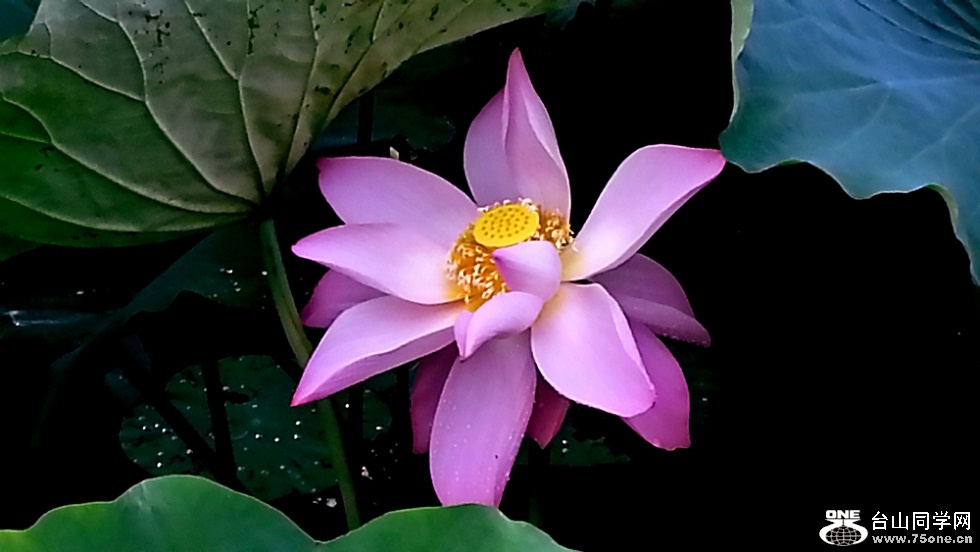 20150720_071433_LLS_.jpg