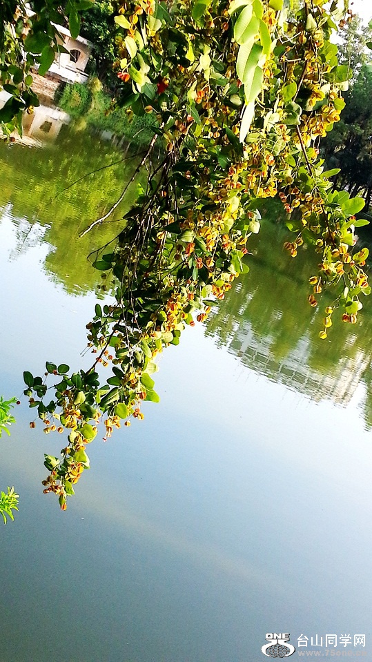 20150828_072730_.jpg