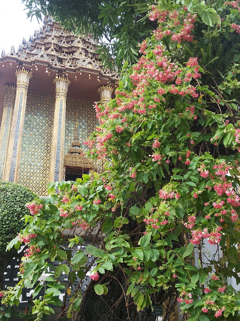 CYMERA_20150809_145813.jpg