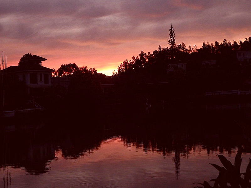DSC_0018.jpg