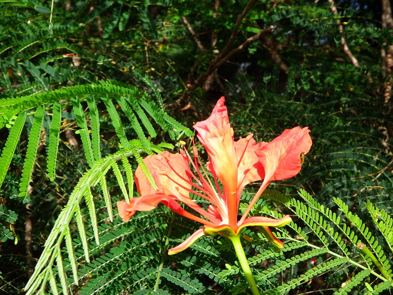 DSC_0003.jpg