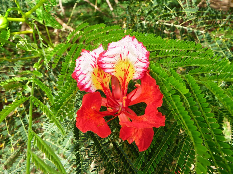 DSC_0002.jpg