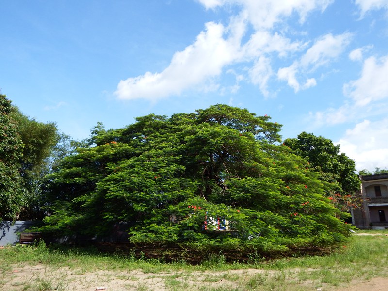 DSC_0001.jpg