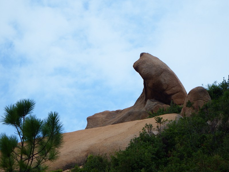 DSC_0197.jpg