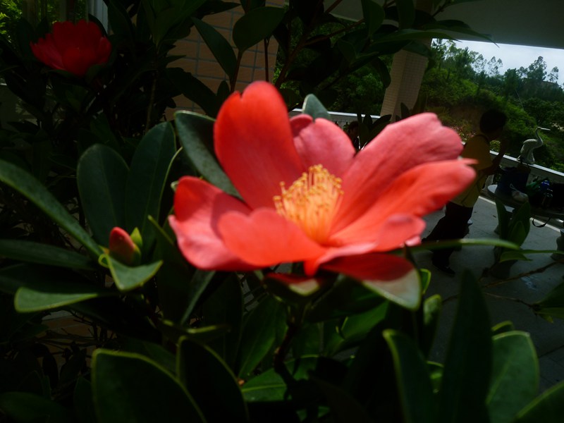 DSC_0004.jpg