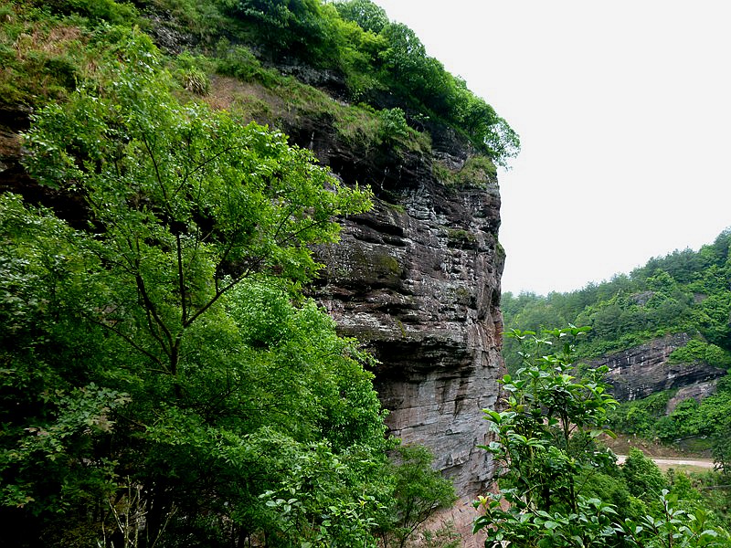 DSC_0123.jpg
