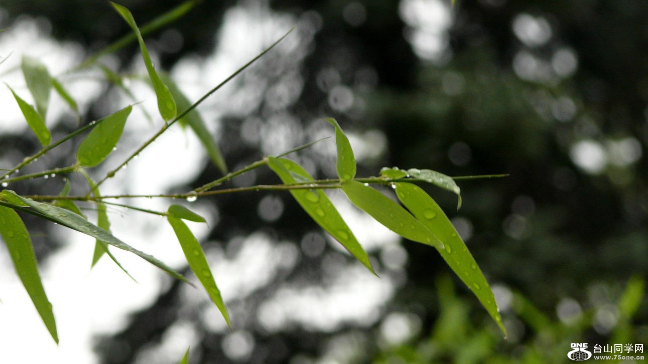 l2350653_conew1.jpg