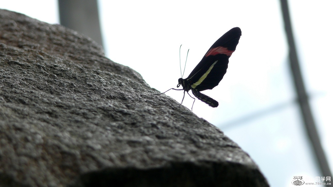 l2440720_conew2.jpg