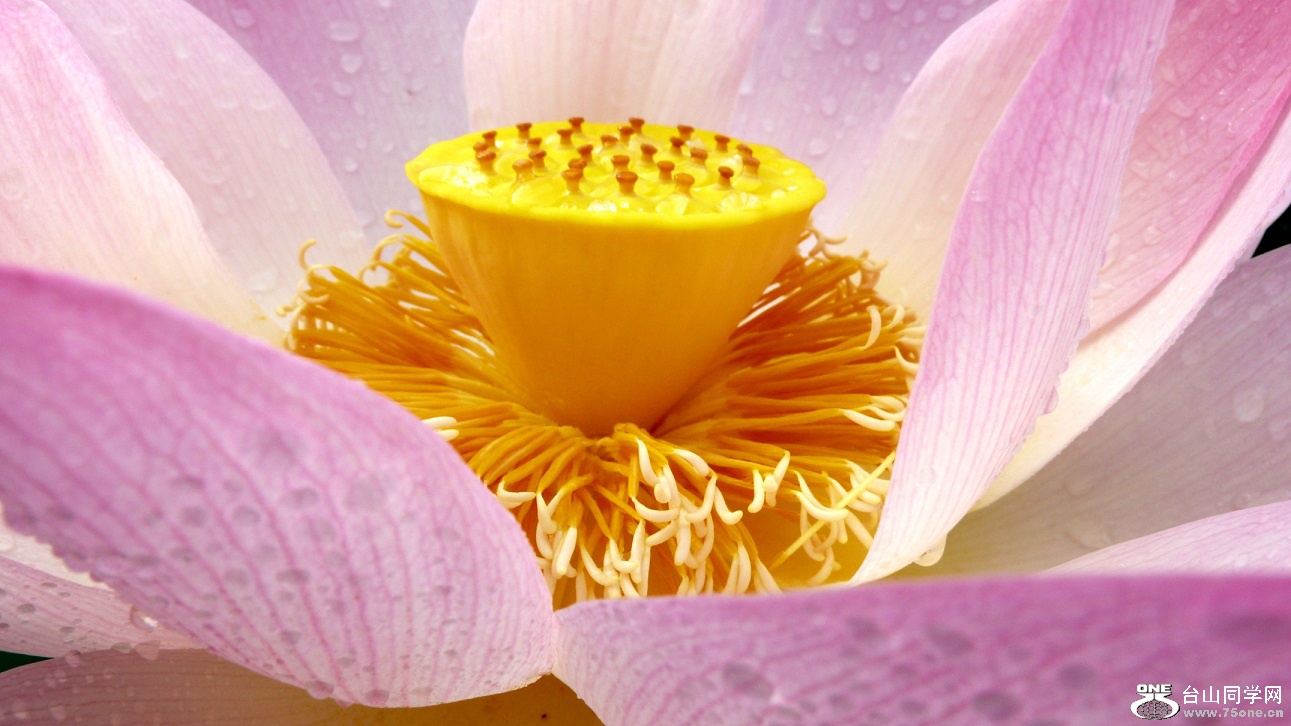 l2440401_conew1.jpg
