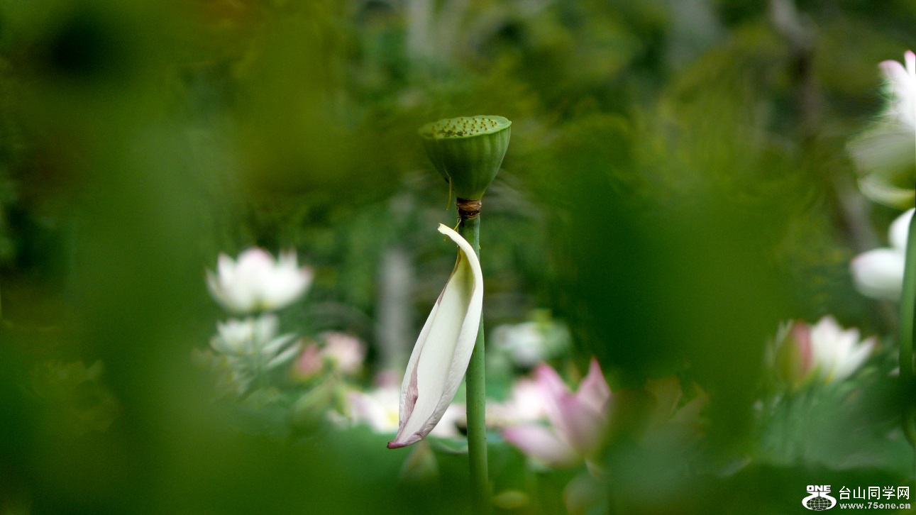 l2440387_conew1.jpg