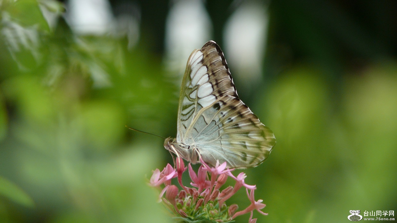 l2440722_conew2.jpg
