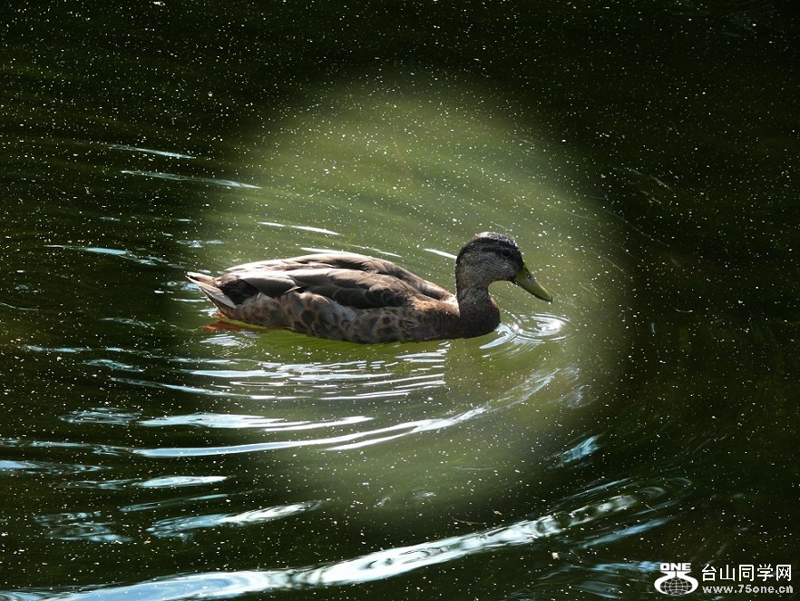 l2450935_conew2.jpg