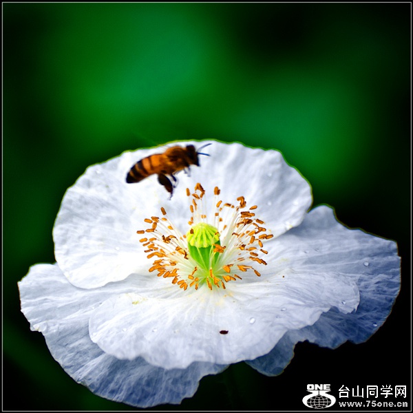 _DSC9125_.jpg