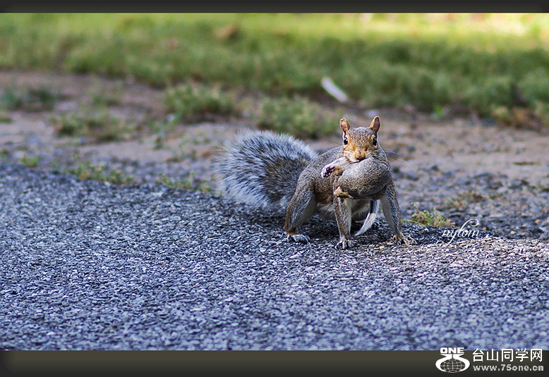 DSC_5748_.jpg