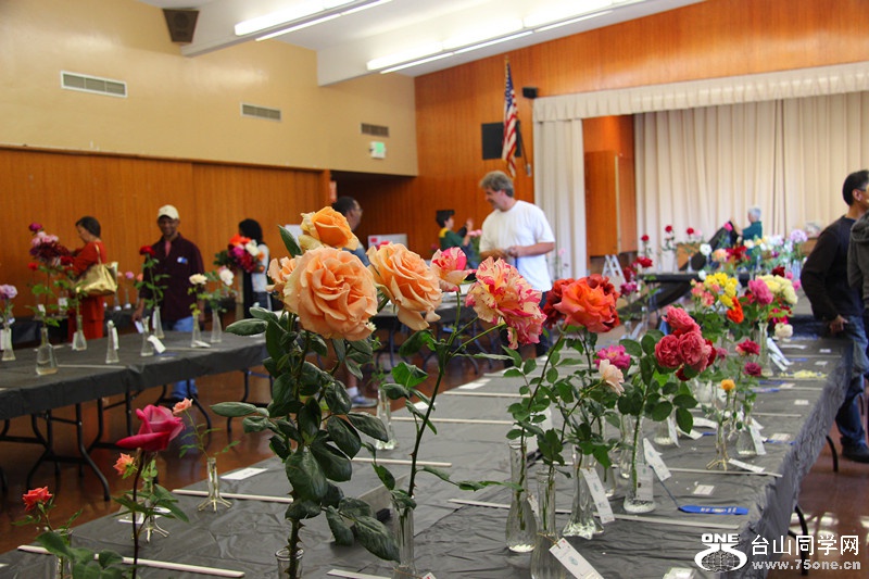 ���������ˮ 135_����.jpg